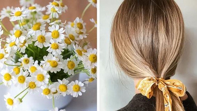 Nhuộm tóc vàng, lên màu tự nhiên bằng hoa cúc và khoai tây