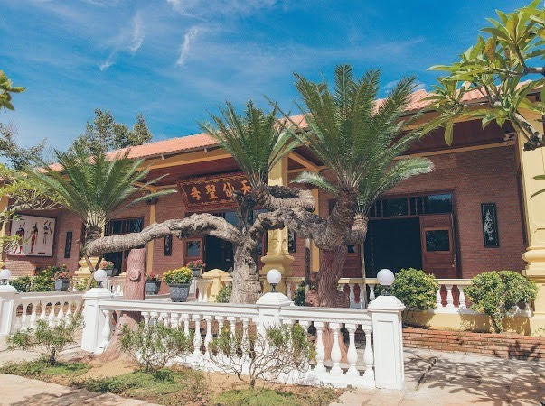 Nhiều cây cổ thụ lớn