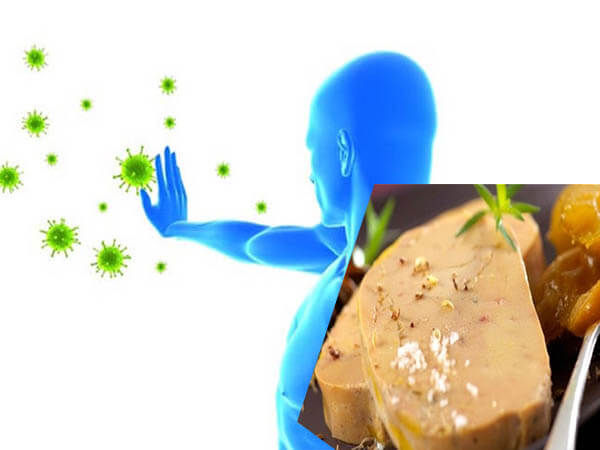 gan ngong co tac dung gi