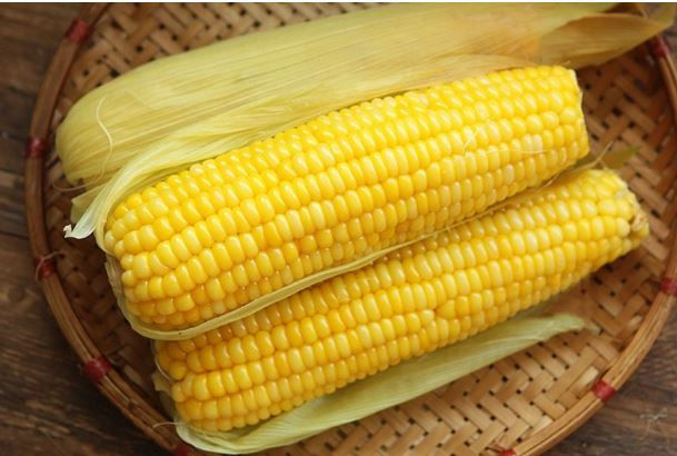 Những lợi &iacute;ch thần kỳ của ng&ocirc; ngọt nếu ai kh&ocirc;ng biết sẽ tiếc h&ugrave;i hụi - Ảnh 2