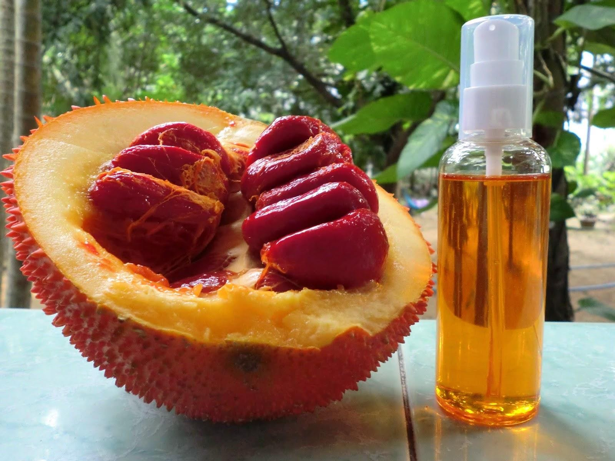 co nen uong dau gac thuong xuyen 5