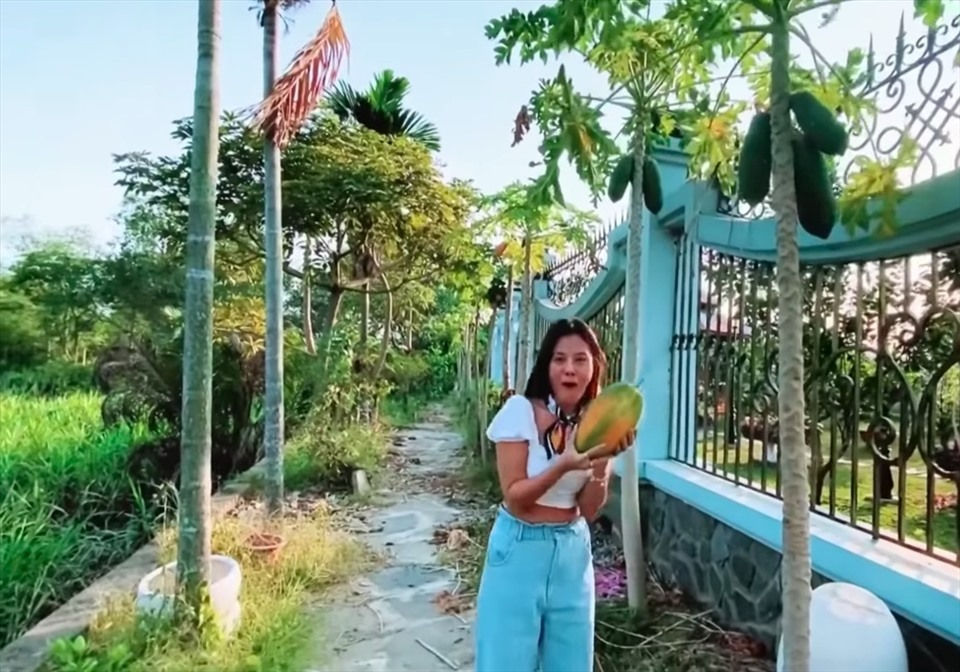 Nam Thư thu hoạch đu đủ và khế.