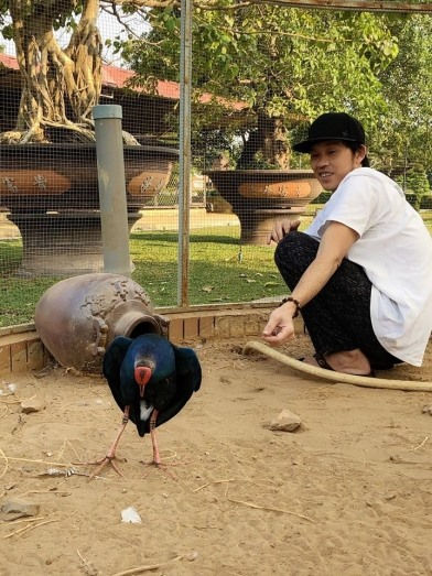 Khu nuôi chim chích cồ