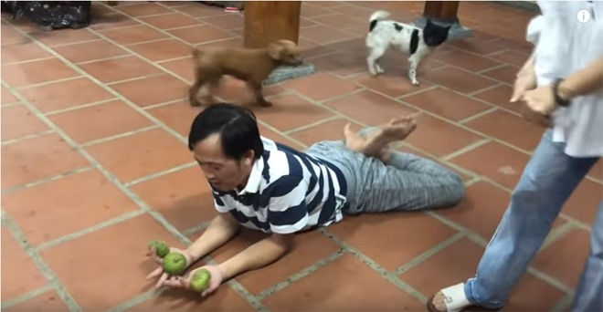 Anh còn nuôi một vài chú chó nhỏ. Ảnh: Cắt clip