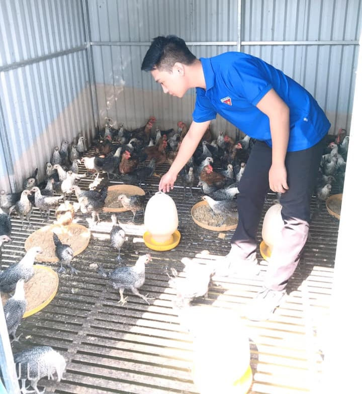 Hiện Bằng đang nuôi gà đẻ Ai Cập theo hướng sinh học Hiện Bằng đang nuôi gà đẻ Ai Cập theo hướng sinh học