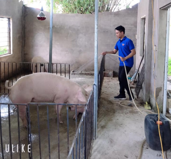 Mô hình trang trại tổng hợp mang về cho gia đình Bằng gần 500 triệu đồng/ năm Mô hình trang trại tổng hợp mang về cho gia đình Bằng gần 500 triệu đồng/ năm