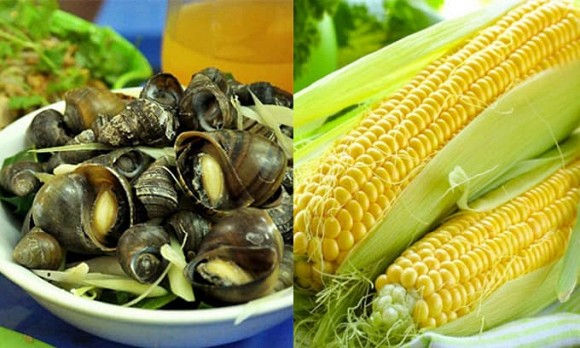 Những ai thích ăn ngô, hãy cẩn thận! Đây là những thực phẩm cấm kị khi ăn cùng ngô - Ảnh 1