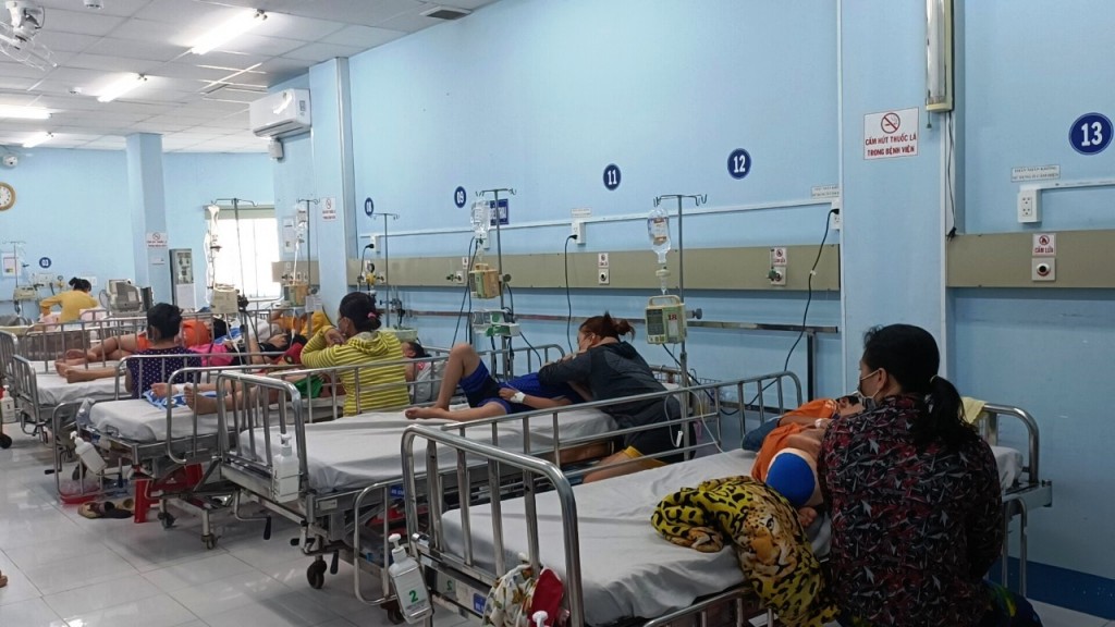 Các trường hợp nhập viện do sốt xuất huyết tại TP Hồ Chí Minh đang có xu hướng gia tăng