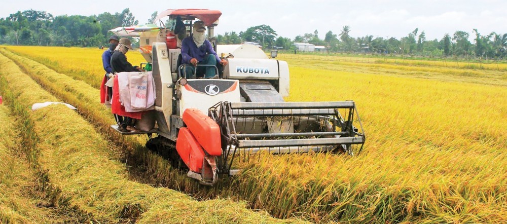 Chính phủ yêu cầu tập trung thực hiện 13 nhiệm vụ trọng tâm trong 6 tháng cuối năm