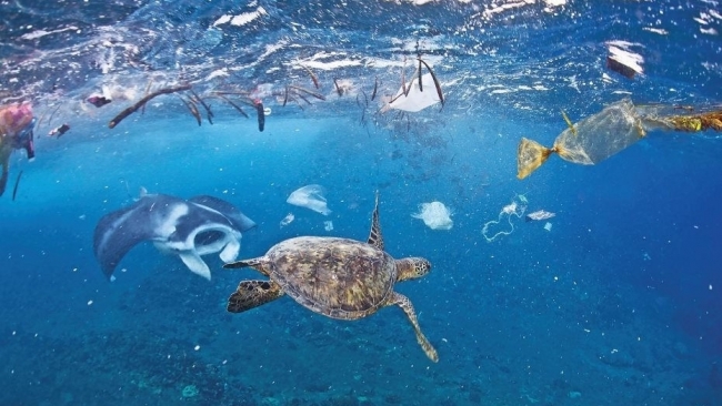 Hành động vì đại dương không rác thải nhựa