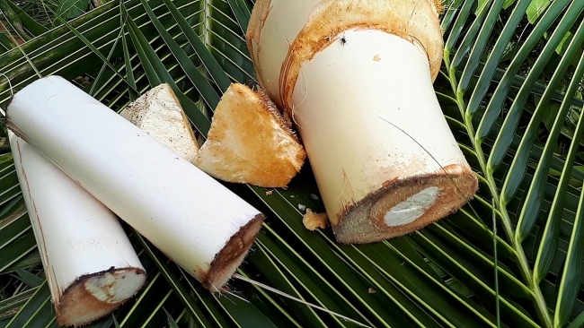 khoi nghiep tu cu hu dua kien giang gia tri nho thanh cong lon