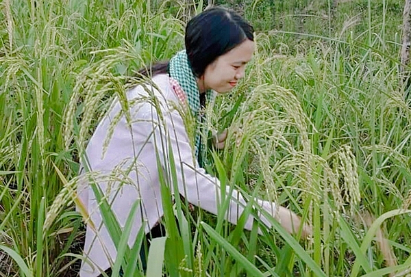 Cô nhà báo xinh đẹp quyết bỏ nghề về quê khởi nghiệp