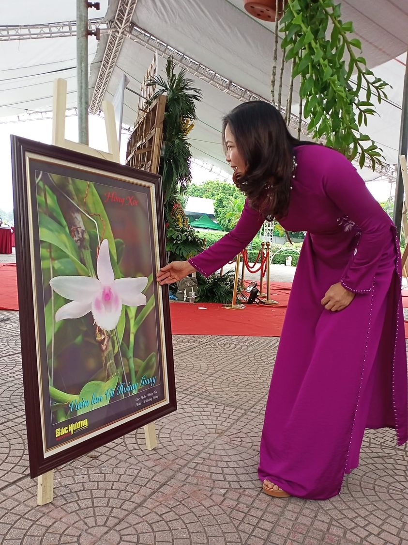 Những bông hoa lan tự nhiên đã rất đẹp và sẽ còn đẹp hơn nếu nó mang lại sự sẻ chia về vật chất và tinh thần giúp đồng bào lúc khó khăn, hoạn nạn