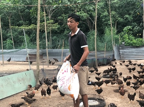 khoi nghiep thanh cong tu giong ga nho be cao khanh