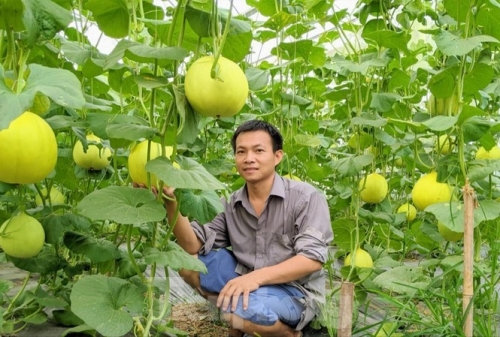 bac ninh 60 ty dong ho tro 84 du an thanh nien khoi nghiep