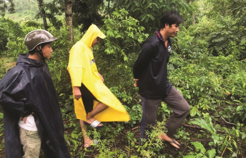 Khởi nghiệp từ cách săn lùng, phát triển giống cây hoang dại