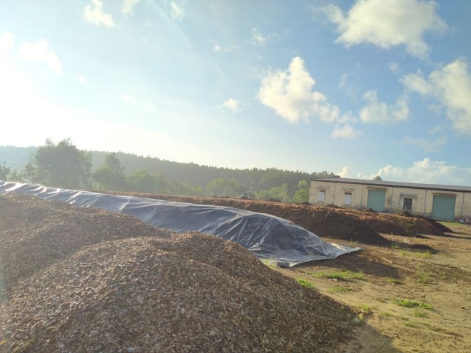 T&aacute;i khởi nghiệp sau dịch: Xuất khẩu đất trồng c&acirc;y - ảnh 1
