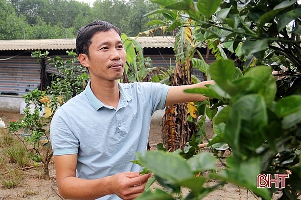 khoi nghiep tu lang tu chang trung cap thu y den ty phu trai ga