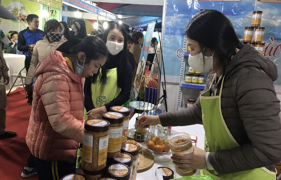Khai mạc Tuần giới thiệu sản phẩm thủy sản, OCOP và xúc tiến du lịch Quảng Ninh tại Hà Nội
