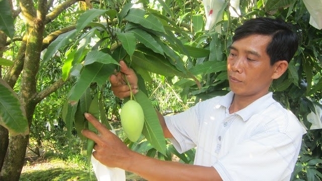Mã số vùng trồng – Tấm vé thông hành giúp nông sản Việt Nam xuất khẩu thuận lợi