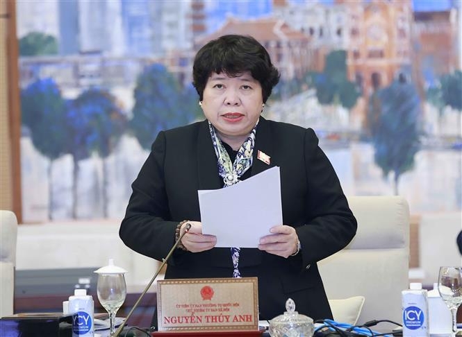 Chủ nhiệm Ủy ban Xã hội của Quốc hội Nguyễn Thúy Anh trình bày báo cáo thẩm tra (Ảnh: Doãn Tấn/TTXVN)
